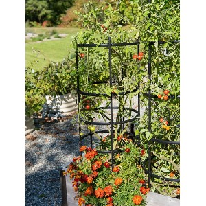 Gardeners Supply Company Titan Tomato Cages I Sturdy Steel Core Plant Support Trellis Cage Protection for Climbing Plants, Vegetable Garden & Tomato - 1 of 4