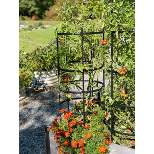 Gardeners Supply Company Titan Tomato Cages I Sturdy Steel Core Plant Support Trellis Cage Protection for Climbing Plants, Vegetable Garden & Tomato