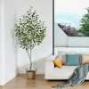 Kazeila Artificial Betula Tree in Pot, Pre Potted Faux Greenry Tree for Home Decor, Big Fake Plants - 4 of 4