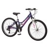 schwinn ranger 24 purple