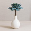 Succulent Plant Pick (Set of 12) - 2 of 3