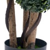 Topiary Trees Artificial Outdoor - 4 of 4