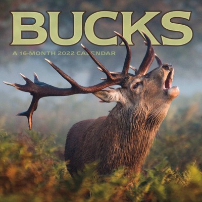 2022 Wall Calendar Bucks - Trends International Inc