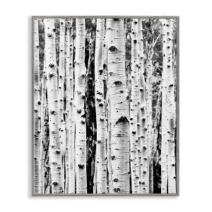 Stupell Industries Birch Trees Forest, 14" x 11" - 1 of 4