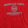 Nicholls State University Official Circle Logo Adult Pull-Over Hoodie - 2 of 4