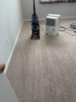 Guest review image 1 of 1, zoom in
