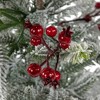 Northlight Pre-Lit LED Frosted Mixed Pine with Cardinals Potted Christmas Tree - 2' - Warm White Lights - 4 of 4