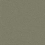 olive grey