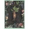 Girl's Harry Potter Mandrake Root Recipe T-Shirt - 2 of 4