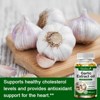 Mulittea Organic Odorless Garlic Capsules 5000mg – Heart, Immune & Digestive Support - 120 Softgels - 3 of 4