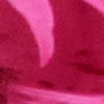 palm tree island pink