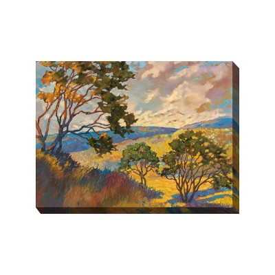 Cottage Garden West of The Wind NO Boundaries Colorful 40 x 30 Inch Waterproof Gallery Wrapped Canvas, Outdoor Garden, Yard, Patio All Weather Hanging