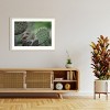 Amanti Art Cactus Wren on Cactus by Brandon Gregorius Wood Framed Wall Art Print - 4 of 4