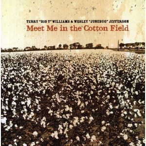 Terry Williams - Meet Me in the Cotton Field (CD) - 1 of 1