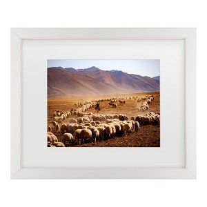 Trademark Fine Art - Murat Cacim  Desert Sheep Herd Matted Framed Art - 1 of 4