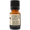 Plantlife Ginger Essential Oil – 100% Pure & Therapeutic Grade – Natural, Undiluted & Steam-Distilled – No Additives or Fillers – 10ml Aromatherapy - 2 of 3