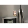Ata Boy The Golden Girls Dorothy Pray For Brains 2.5 x 3.5 Inch Magnet - 3 of 3