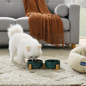 Coco Dual Pet Bowl with Wood Stand 5.11 in Green - 1 of 4