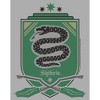 Boy's Harry Potter Quidditch Slytherin Team Crest T-Shirt - 2 of 4