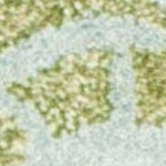 turquoise/green
