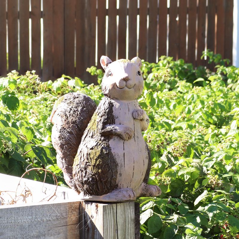 Sunnydaze Silas the Woodland Squirrel Statue - Indoor/Outdoor Decorative Figurine - 13.5", 3 of 11