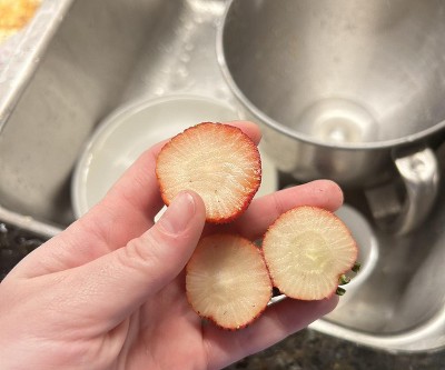 Guest review image 1 of 1, zoom in