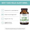 Himalaya Hello Alert Mind with L-Theanine, Ashwagandha, Bacopa, Vitamin B6 & B12, for Energy, Focus & Attention, Vegan, Gluten Free, 60 Capsules - 4 of 4