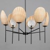 Maxim Lighting Maldives 6 - Light Chandelier in  Black - 3 of 4