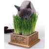 Pioneer Pet SmartCat Kitty's Garden Edible Grass Planter - 3 of 3