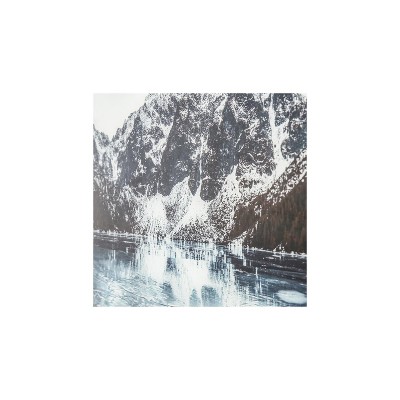 Artic Slumber Silver Framed Landscape Glass Poster