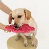 Dexypaws: Enrichment Lick Mat: Hot Pink Paw Print, Grooved Dog Feeding Pad - 4 of 4