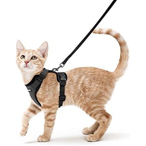 rabbitgoo Cat Harness and Leash for Walking, Escape Proof Soft Adjustable Vest Harnesses for Cats, Easy Control Breathable Black, S - 1 of 1