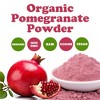 Organic Pomegranate Powder - Non-GMO, Unsulfured, Raw, Dried Fruit, Vegan, Contains Maltodextrin - 4 of 4