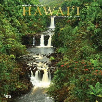 2022 Square Calendar Hawaii Wild & Scenic - BrownTrout Publishers Inc