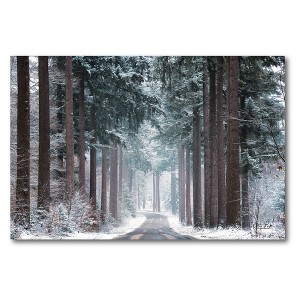 Pines in Winter Dress Gallery-Wrapped Canvas - 1 of 4