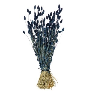 Vickerman 26" Dried Phalaris Bunch, 7 oz - 1 of 4