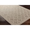 Hauteloom Noam Tan Indoor & Outdoor Rug - 4 of 4