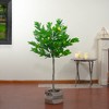 Northlight 4.75' Yellow and Green Artificial Lemon Potted Tree - 2 of 4