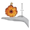 Old World Christmas Blown Glass Ornament for Christmas Tree, Sunset Gerbera Daisy - 2 of 4