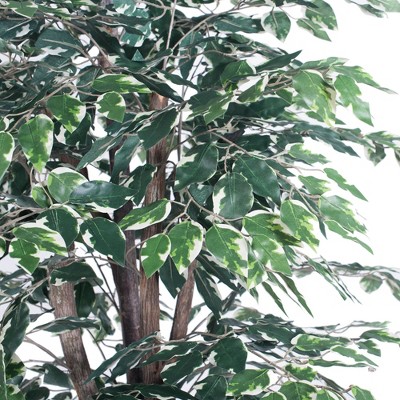 Outdoor Silk Ficus Topiary in Green and White Pot