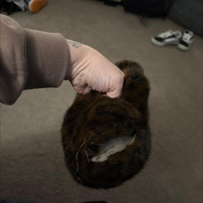 Guest review image 1 of 1, zoom in