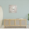 Stupell Industries Rustic Grey Conch Shell, 30" x 30" - 2 of 4