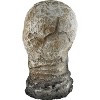 Halloween Express  12 in Light-Up Animated Flaming Rotted Skull Decoration - 2 of 4