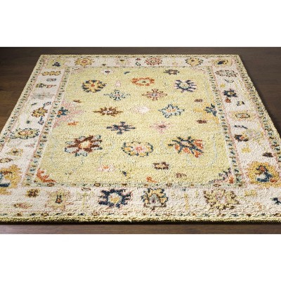 Hauteloom Naas Wool Living Room, Bedroom Area Rug - Traditional - High Pile