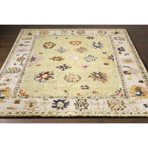 Hauteloom Naas Wool Living Room, Bedroom Area Rug - Traditional - High Pile - 1 of 4