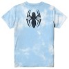 Seven Times Six The Amazing Spider-Man T-Shirt Men's Tie Dye Distressed Graphic Tee Multicolored - 3 of 4