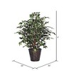 Vickerman Artificial Variegated Ficus Extra Full Series - 4 of 4