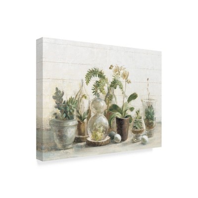 Trademark Fine Art -Danhui Nai 'Greenhouse Orchids on Shiplap' Canvas Art