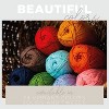 (Pack of 3) Lion Brand Heartland Yarn-Voyageurs - 3 of 4