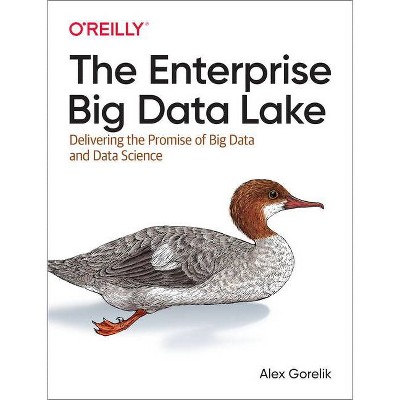 The Enterprise Big Data Lake - by  Alex Gorelik (Paperback)